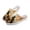 Autumn Pumpkin and Black Cat, variant on Black Cats Mules Shoes for Women Thanksgiving Holiday Yellow Sunflower Pumpkin Clogs Flat Width Casual Walking Sneakers Ladies Loafers for Garden,Beach