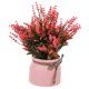 thumbnail image 4 of Greenadscape Flores Artificiales En Maceta Multicolor Para Decorar Patio Y Estancia, 4 of 8