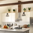 thumbnail image 3 of HisoHu 30 Inch Wall Mount Range Hood with Ducted/Ductless Convertible Duct in Stainless Steel, 3 of 3
