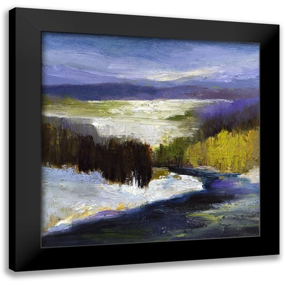 Finch, Sheila 12x12 Black Modern Framed Museum Art Print Titled - Winter II