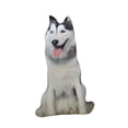 thumbnail image 2 of Cojín de perro 3D, juguete de animal, regalo de cumpleaños, decoración suave, lindo y realista, abrazo Gris, 2 of 7