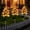 144#Red, variant on Solar Violet Flower Ground Lights, IP Waterproof Landscape Lamp, Efficient Solar Power Conversion, Stake Insert Easy Installation, Decorative Tree Lamps for Garden, Courtyard and Lawn Landscaping