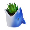 thumbnail image 4 of Maceta de cerámica Bewildely en forma de tiburón para suculentas color azul, 4 of 6