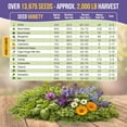 thumbnail image 4 of Organo Republic - 30 Medicinal Tea Herb & Flower Seeds Varieties - 13625+ Non GMO Heirloom Garden Seeds, 4 of 7