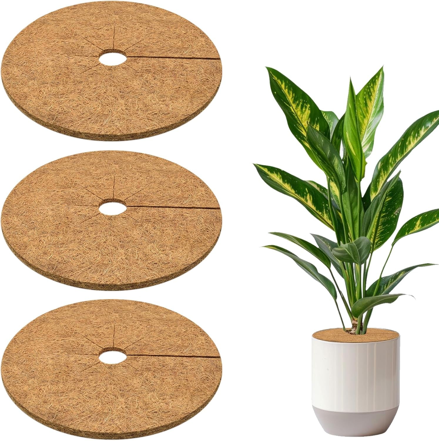 ZeeDix 6 Pcs Coconut Fibers Mulch Ring Tree Protector Mat, 17.8 Inch Coco Coir Tree Protection, Tree Ring Mats Tree Disc Plant Cover for Indoor or Outdoor