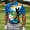 Multicolor, variant on Fnnxeal Mens Polo Shirts Collared Casual Golf Graphic Short Sleeve Summer Polo Gray Shirts for Men Size 2XL