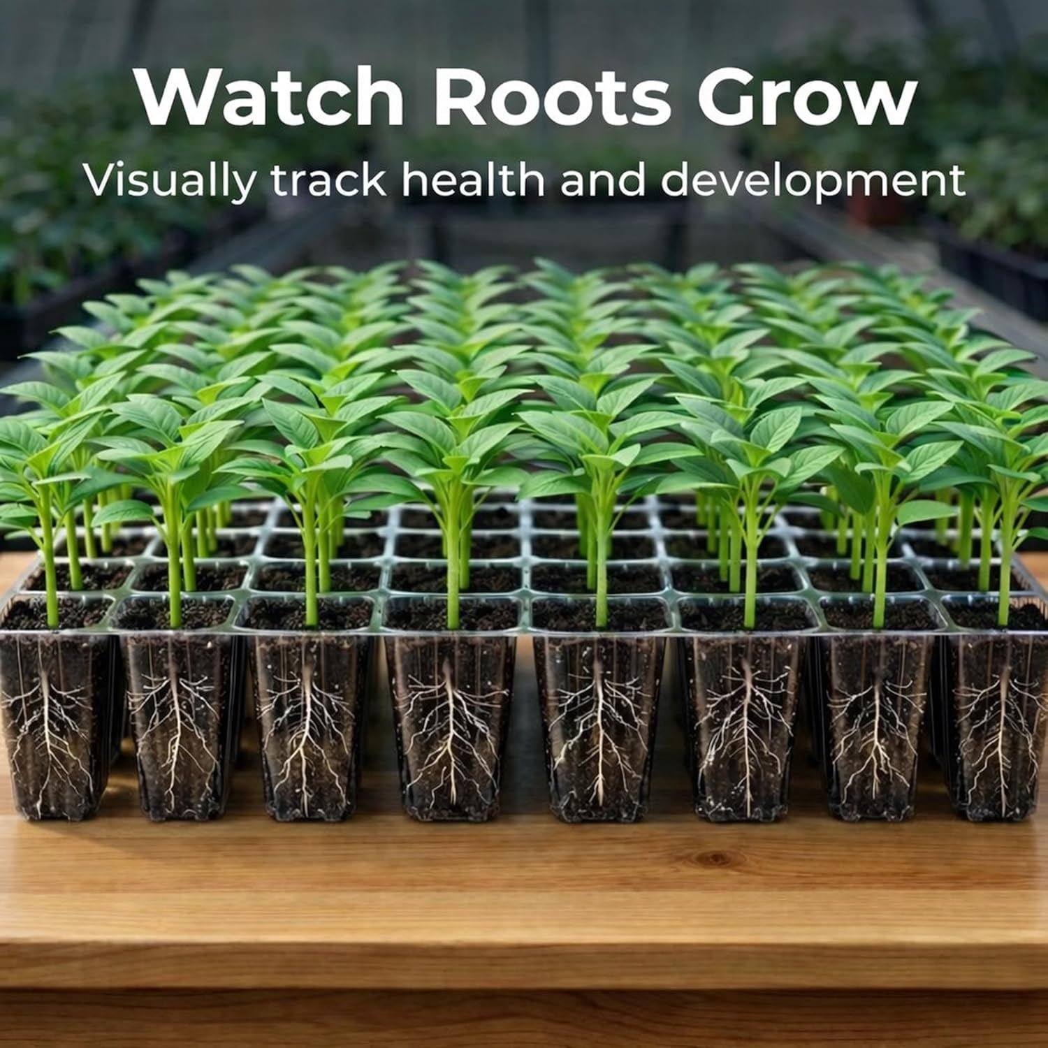 5 Pack BPA Free Seed Starter Tray Kit, 40 Cell Reusable Seedling Trays with Humidity Vented Domes and Base