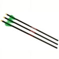 thumbnail image 2 of Excalibur Quill 16.5" Carbon Arrows, 2 of 2