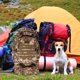 thumbnail image 4 of BRIGHTFUFU Mochila de viaje al aire libre Mochila de senderismo Mochila resistente al agua Mochila de camping multifunción, 4 of 8
