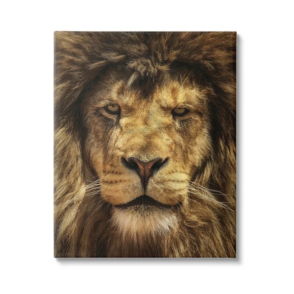 Stupell Industries Close Up Lion Portrait Photograph Gallery Wrapped Canvas Print Wall Art, Design by Carrie Ann Grippo-Pike