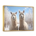 thumbnail image 2 of Designart "Alpacas beautyful Alpacas III" Animals Floater Framed Wall Art Print, 2 of 7