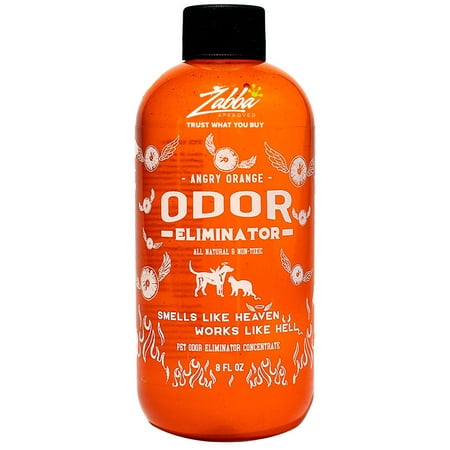 Angry Orange Pet Odor Eliminator for Dog and Cat Urine Makes 1 Gallon of Solution for Carpet Furniture and Floor Stains 8 oz Walmart