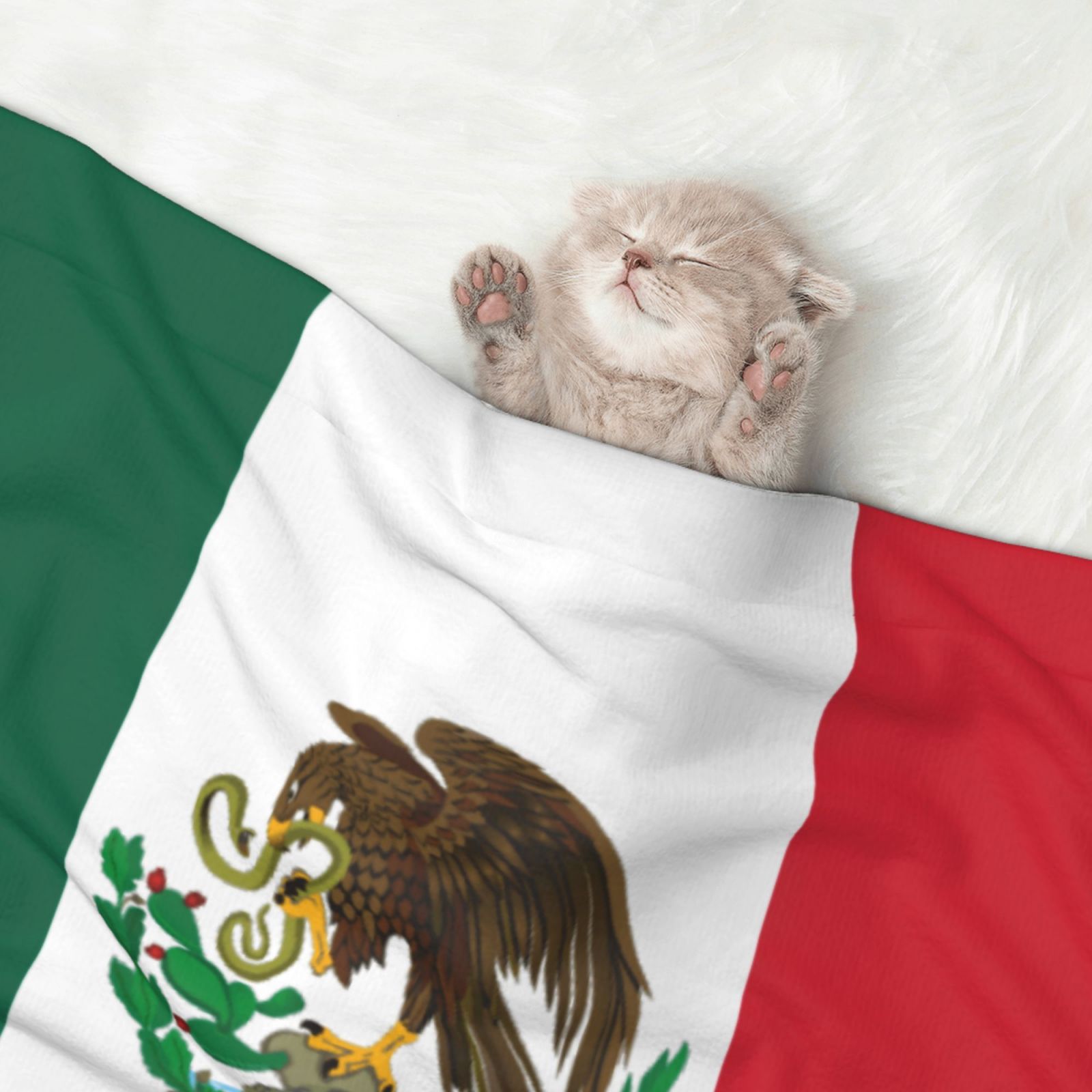 Flannel Throw Dog Blanket Mexico-Flag Soft Warm Print Pet Blankets for Small Dog Cat Puppy