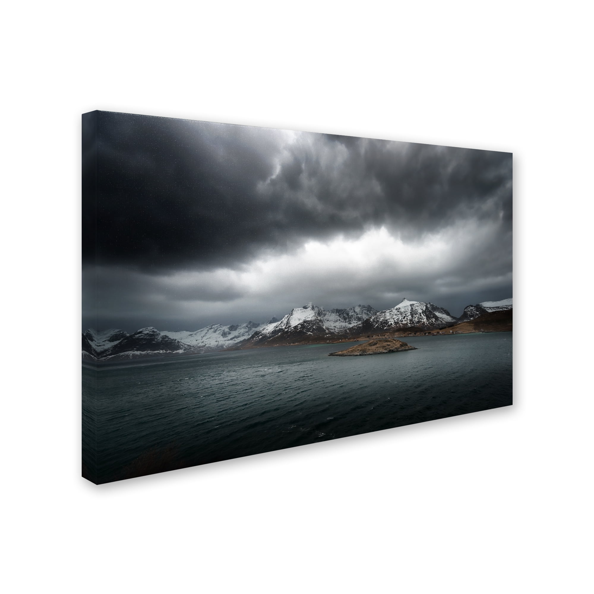 Trademark Fine Art "Grey" Canvas Art by Philippe Sainte-Laudy