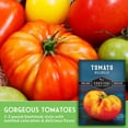 thumbnail image 3 of 5 Packs Hillbilly Tomato Seeds - Non-GMO Heirloom Full Sun Annual Vegetable, 3 of 7