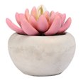 thumbnail image 5 of Mainstays 3.35" Artificial Succulent Plant in Cement Pot, Pink Color, 5 of 6