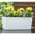 thumbnail image 1 of Macetas blancas para plantas y flores, orificio de drenaje y platillo, 2 paquetes de macetas pequeñas y ligeras de resina para interiores y exteriores, 1 of 5