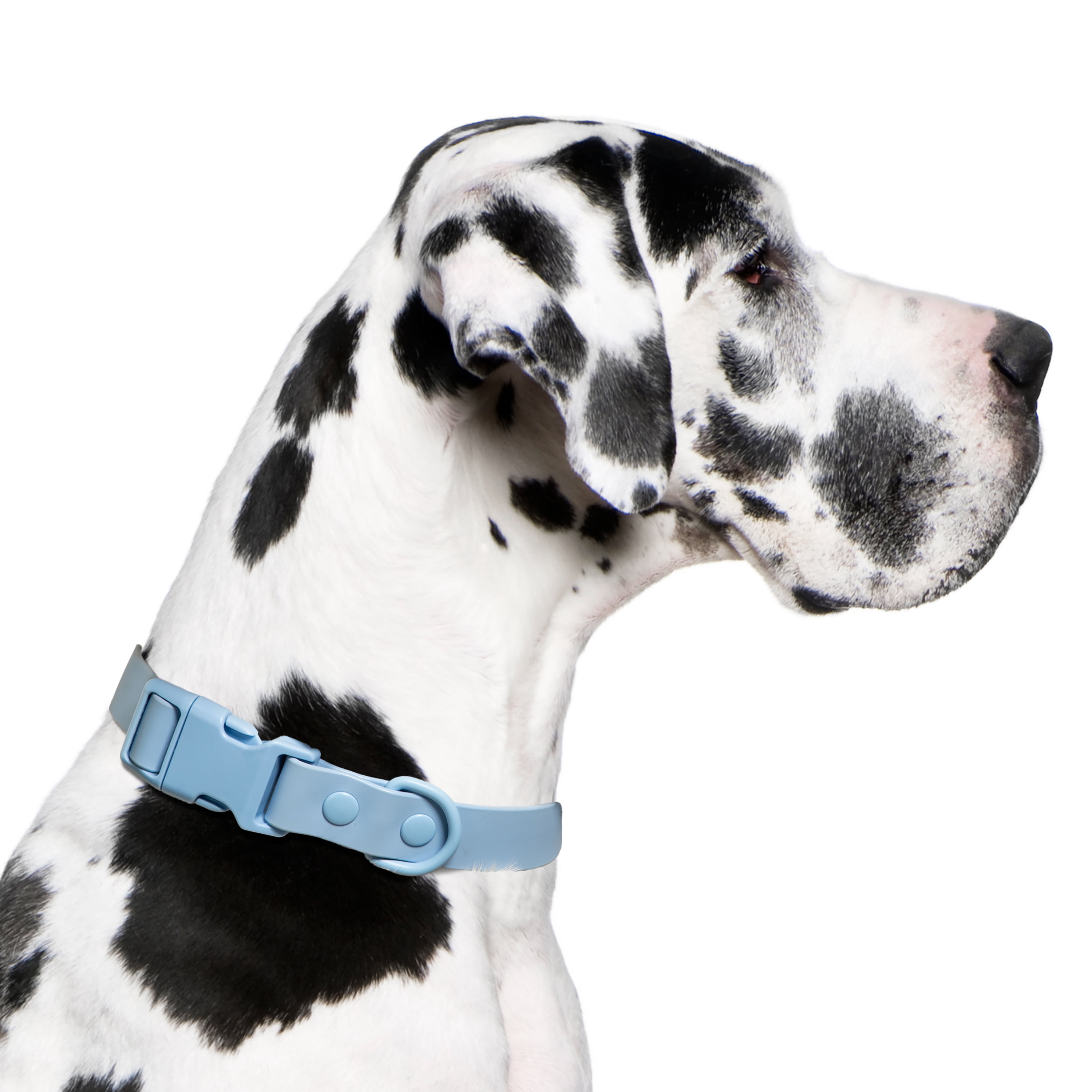 Vibrant Life Water Resistant Adjustable Dog Collar, Blue, XL
