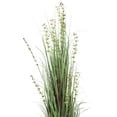 thumbnail image 2 of Vickerman 60" Artificial Potted Green Grass and Eucalyptus., 2 of 5