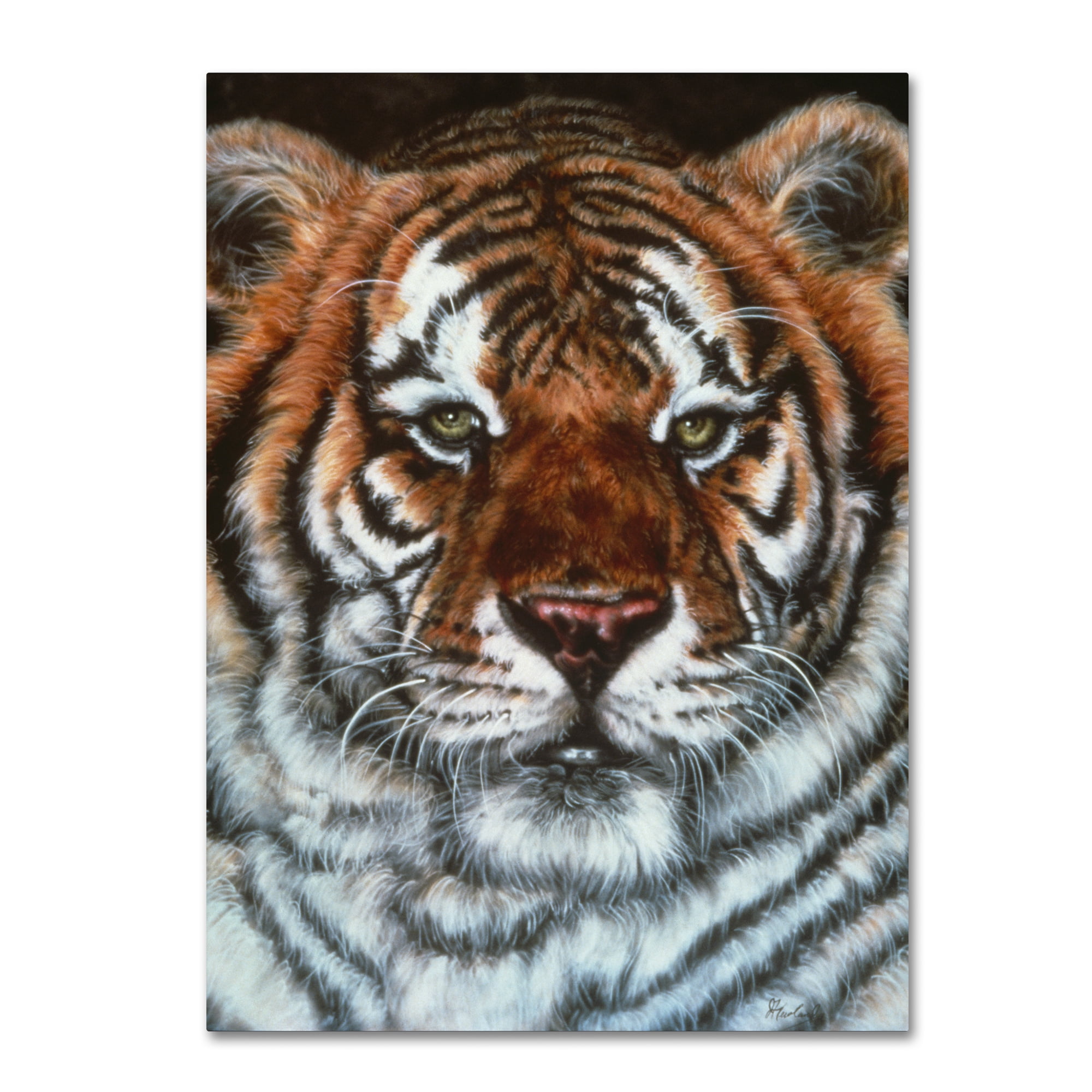 Trademark Fine Art 'Awesome Beauty' Canvas Art by Jenny Newland