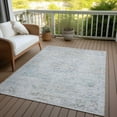thumbnail image 6 of Addison Rugs Chantille Indoor/Outdoor Traditional Global Beige Washable Rectangle Rug, 10' x 14', 6 of 6