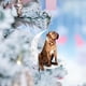 thumbnail image 4 of Iron Art Siéntese en la luna Lovely Dog Moon Ornament para los amantes de los perros Christmas Tree Pendent 2PC Wmkox8yii gf6359, 4 of 4