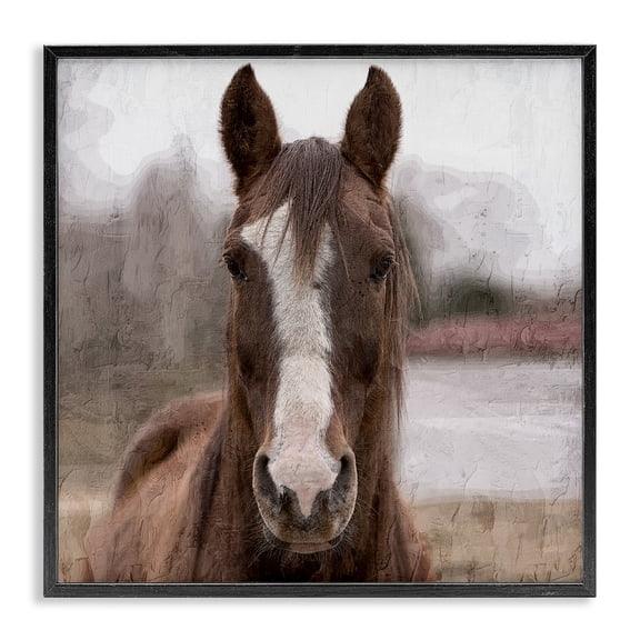 Stupell Industries Farmhouse Brown Horse Portrait Black Framed Giclee Art, 12 x 12, by Kim Allen
