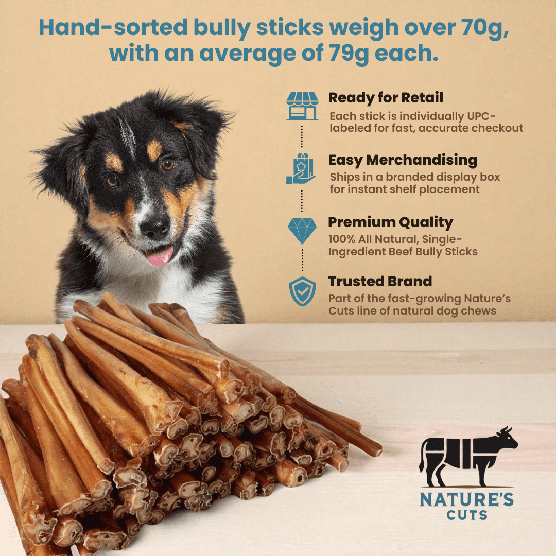 12" Jumbo Bully Sticks Display Box (30 ct) with Individual UPC Tags - 100% All Natural Beef