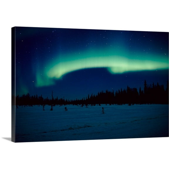 Great BIG Canvas | "Northern Lights over Black Spruce forest during Winter in Southcentral Alaska" Canvas Wall Art - 30x20