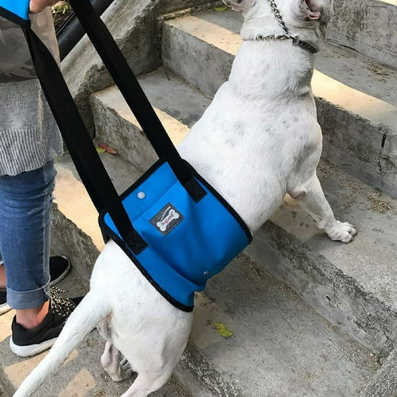 Dog Lift Support Harness Pet Rehabilitation Sling Breathable Straps for Old Disabled Joint Injuries Loss of Stability Dogs Walk