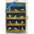thumbnail image 3 of Lucia Heffernan Art - Yoga Chicks Wall Poster, 22.375" x 34" Framed, 3 of 6