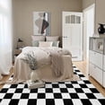 thumbnail image 4 of Softlife Classic Milk Flannel Checkered Rug for Living Room, 2' x 3', Black & White, 4 of 9