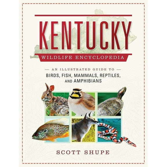 Kentucky Wildlife Encyclopedia : An Illustrated Guide to Birds, Fish, Mammals, Reptiles, and Amphibians (Hardcover)