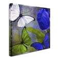 thumbnail image 3 of Trademark Fine Art "Morphos Two" Canvas Art by Color Bakery, 3 of 4