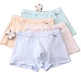 thumbnail image 6 of Godderr Kids Boys Boxer Briefs Underwear 5Pcs Toddler Cotton Boxers Underwear 3-15Y Youth Boys Solid Color Shorts Underpants, 6 of 7