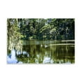 thumbnail image 2 of Gango Home Decor Swans II by Alan Hausenflock (Printed on Paper); One 36x24in Fine Art Paper Giclee Print, 2 of 4