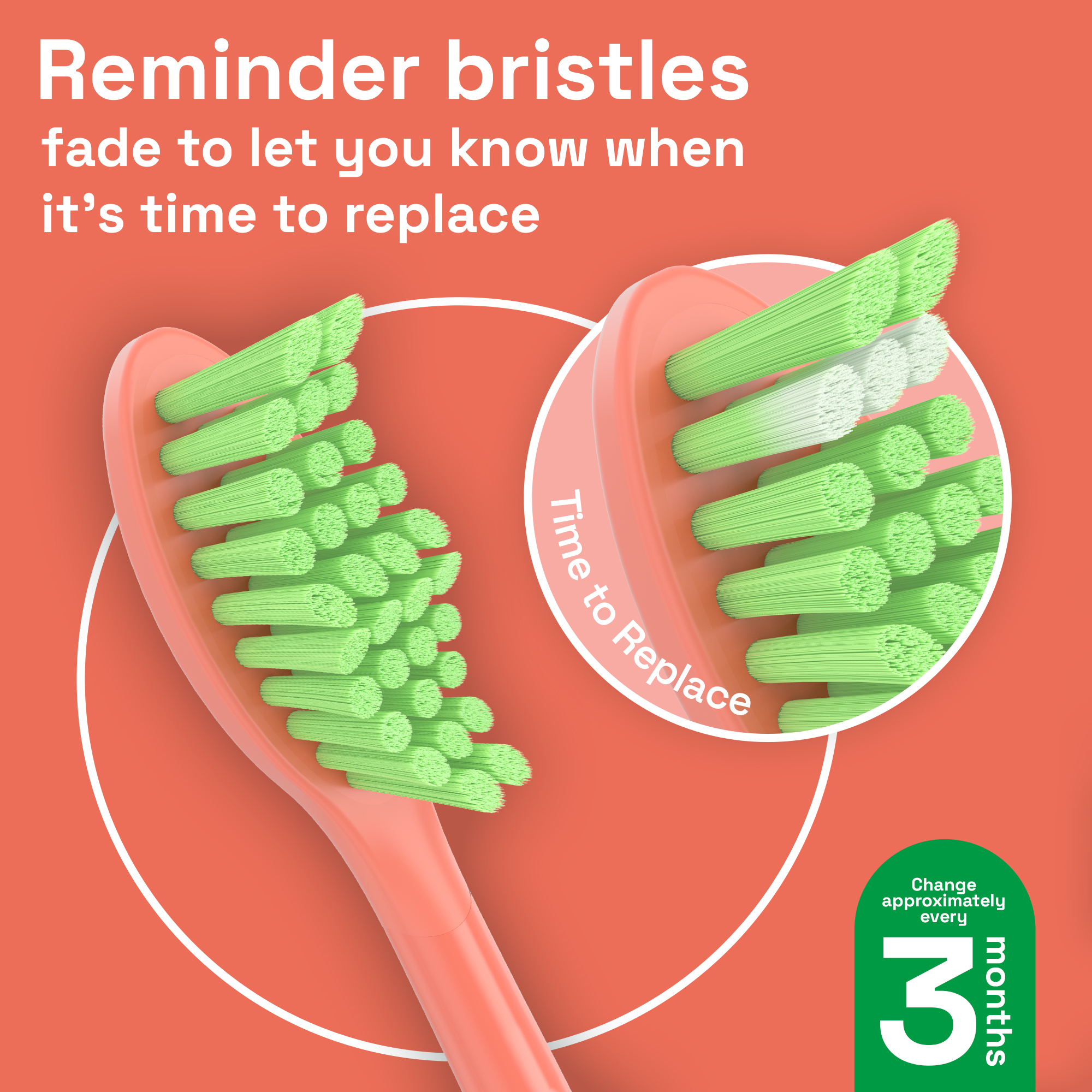 Brushmo Replacement Toothbrush Heads for Philips ONE, 4-Pack photo 3