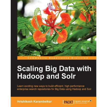 Scaling Big Data with Hadoop and Solr - eBook