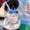 Hachiware, variant on Anime Chiikawa Hachiware Usagi Plush Backpack Bag New Style Creativity Kawaii Gift Cute Cartoon Good Looks Christmas Gift