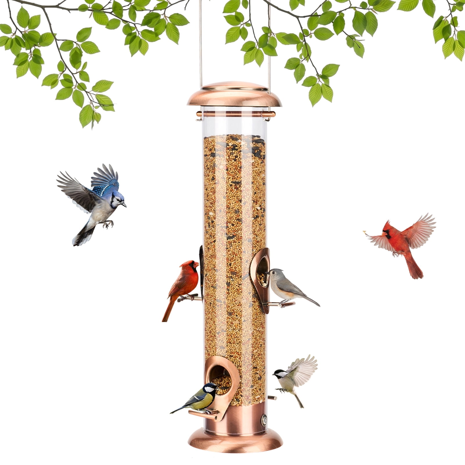 WoodLink, Caged Bird Feeder, 6 Port Tube, Green Finish - Walmart.com