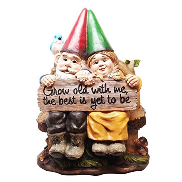 ATLANTICCOLLECTIBLES GROW OLD WITH ME MR AND MRS GNOME GARDEN LAWN ...