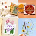 thumbnail image 4 of Kit de prensado de flores Aboofx extra grande de 10 capas con bolsa de almacenamiento, 4 of 8
