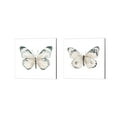 thumbnail image 1 of Great Art Now Steady Wings by Patricia Pinto 2 Piece Canvas Art Set Each 14"W x 14"H, 1 of 3