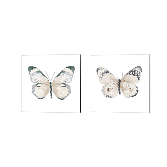 Great Art Now Steady Wings by Patricia Pinto 2 Piece Canvas Art Set Each 14"W x 14"H