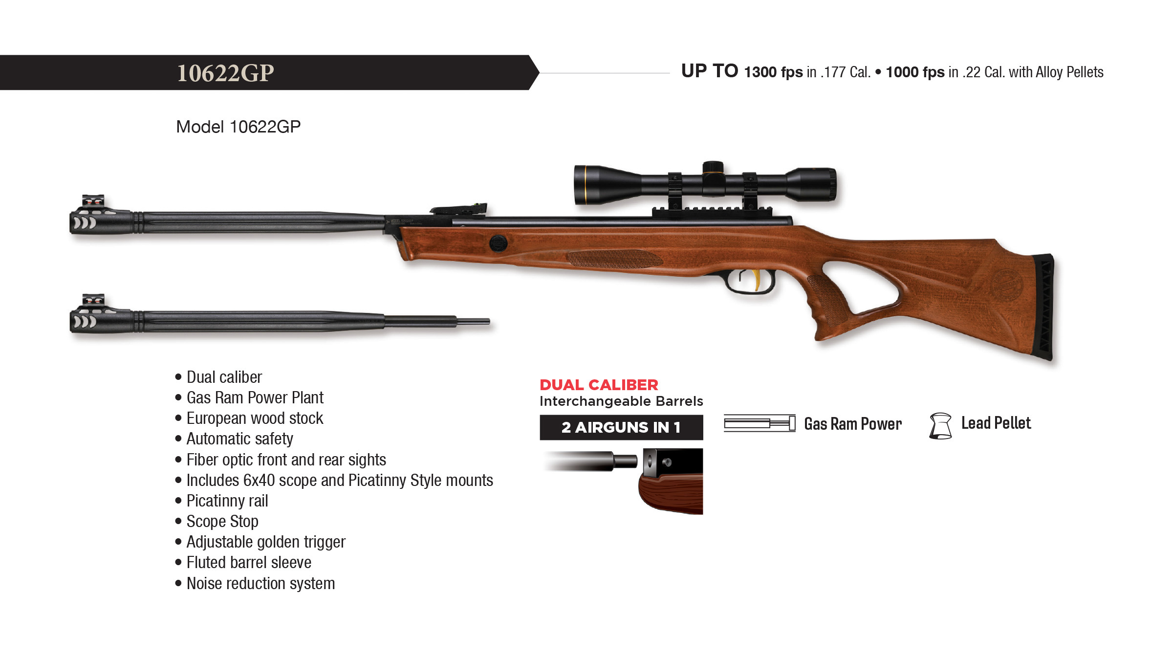 Beeman 10622GP DC Air Rifle (Dual Caliber .177 or .22) with Wood Stock and 6 x 40 Scope