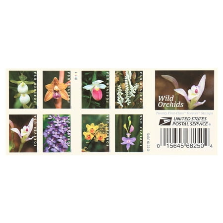 Wild Orchids Book of 20 USPS First Class Forever Postage Stamps Birthday Anniversary Wedding Celebration (20 Stamps)