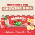 thumbnail image 6 of Danimals Smoothie Strawberry and Banana Split Low Fat Dairy Drink Smoothie Bottles, Multi-Pack, 3.1 fl oz, 12 Count​, 6 of 16
