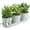 Soft Mint, variant on Indoor Herb Garden Planter Set with Tray, Metal Windowsill Plant Pots with Drainage for Outdoor or Indoor Plants, Set/3 (Soft Mint)
