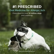 Apoquel (Oclacitinib) Tablets for Dogs, 5.4 mg