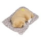thumbnail image 4 of Adorable cachorro labrador durmiente: juguete y regalo realista para niños y niñas, 4 of 10